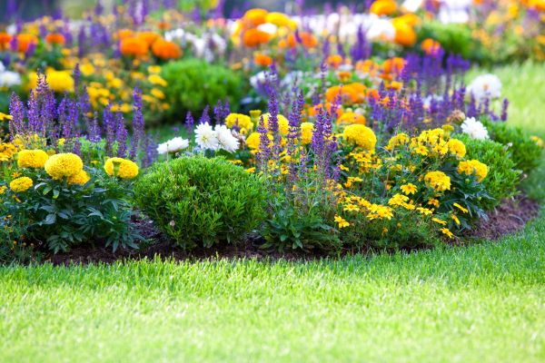 Flower Bed Maintenance in Owasso