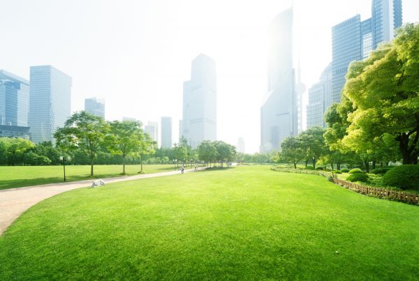 Commercial Landscape Maintenance in Owasso