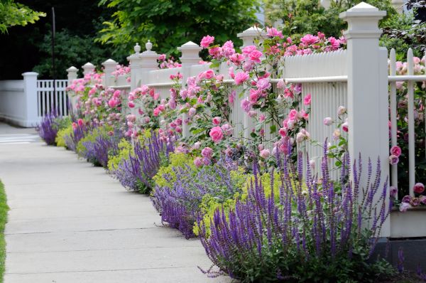 Garden Handyman Service in Owasso
