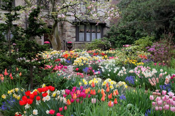 Garden Maintenance Service in Owasso