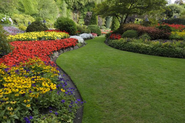 Landscaping Maintenance in Owasso