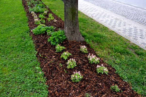 Mulch Replacement Service in Owasso