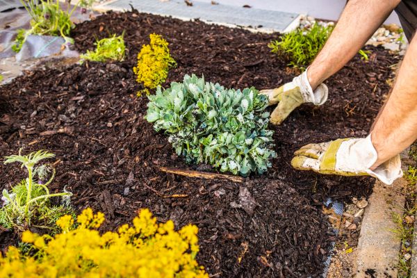 Weeding And Mulching in Owasso