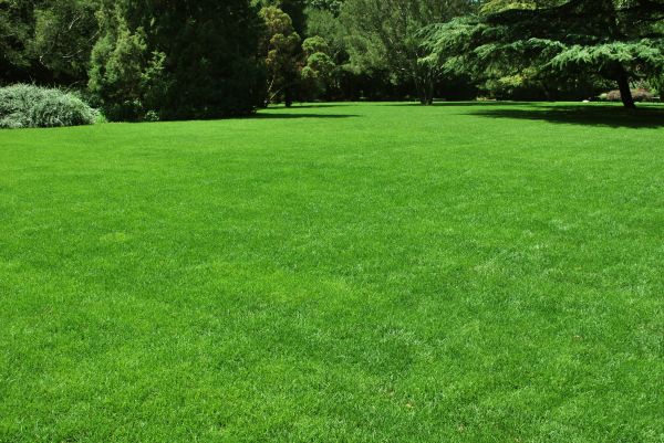 Lawn Landscaping in Owasso