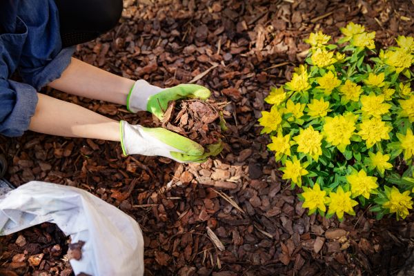 Garden Mulching in Owasso