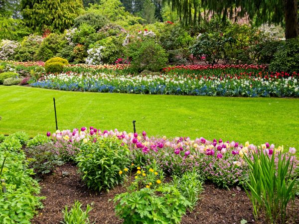 Residential Landscape Design in Owasso