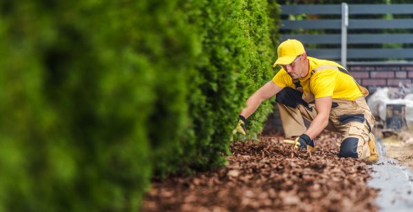 Cypress Mulch Installation in Owasso