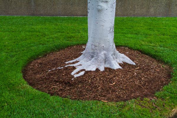 Brown Mulch Installation in Owasso