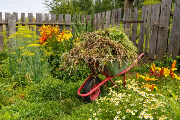 Garden Cleanup Service in Owasso