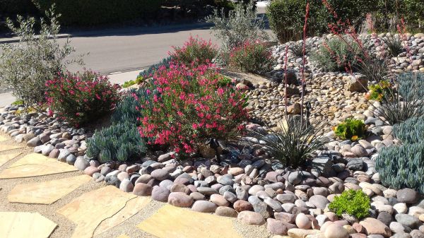 Xeriscape Landscaping in Owasso