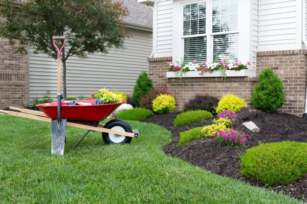 Tree And Shrub Planting in Owasso