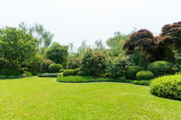 Tree Landscaping in Owasso