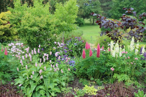 Flower Bed Planting in Owasso