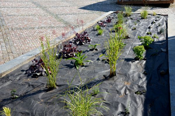 Landscape Fabric Installation in Owasso