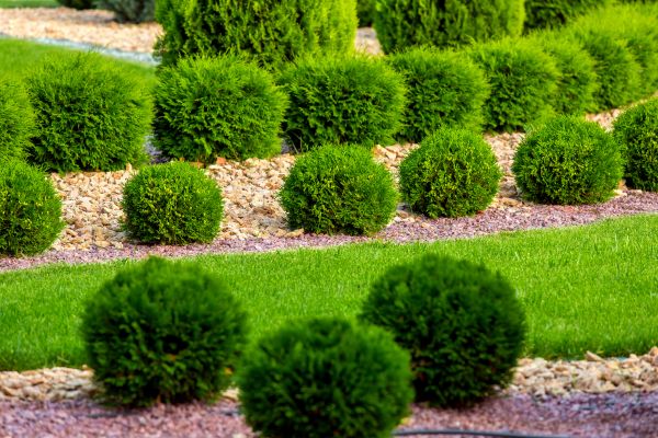 Bush Installation in Owasso