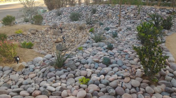Yard Xeriscaping in Owasso