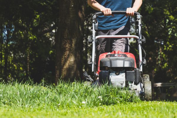 Garden Trimming Service in Owasso