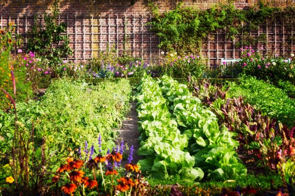 Garden Planting Service in Owasso