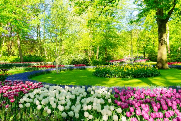 Flower Landscaping in Owasso