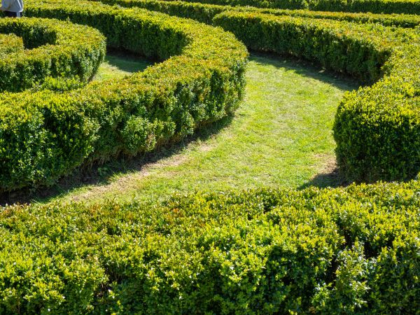 Bush Landscaping in Owasso
