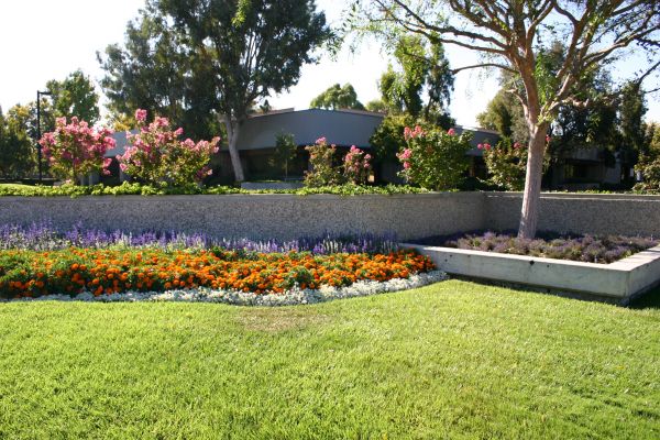 Commercial Landscape Service in Owasso