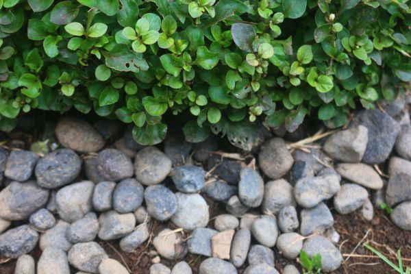 River Stone Installation in Owasso