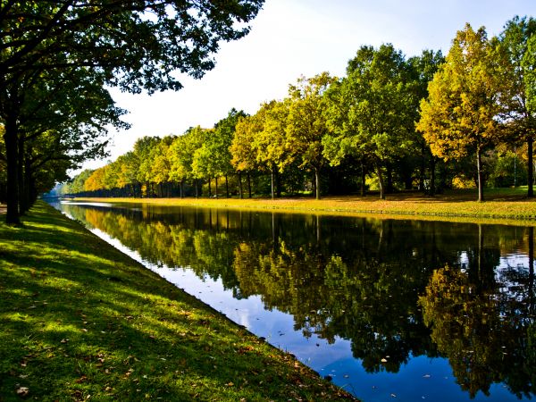 Bank Landscaping in Owasso