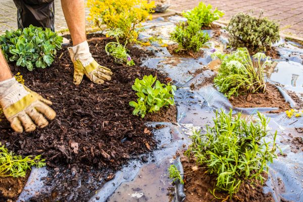 Mulch Fabric Installation in Owasso