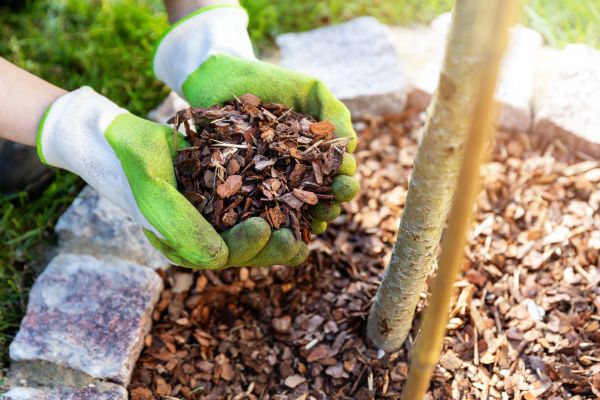 Tree Bark Delivery in Owasso