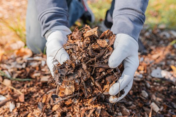 Shredded Mulch Installation in Owasso