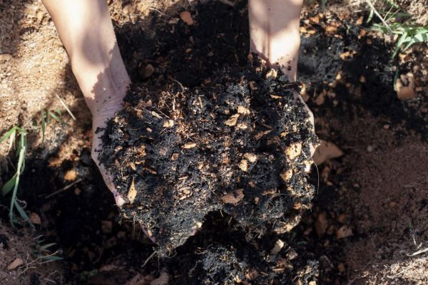 Organic Mulch Installation in Owasso
