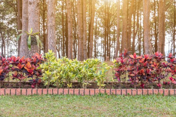 Small Garden Landscaping in Owasso