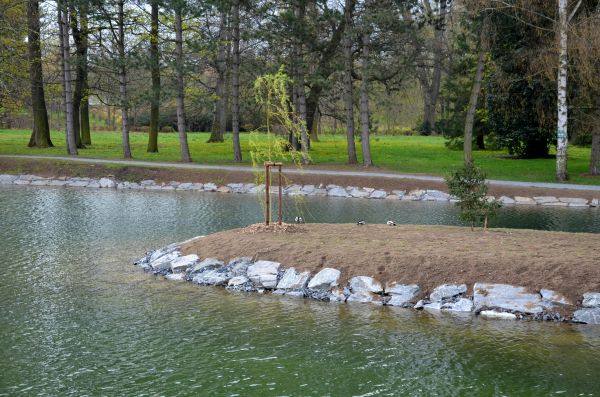 Pond Landscaping Service in Owasso
