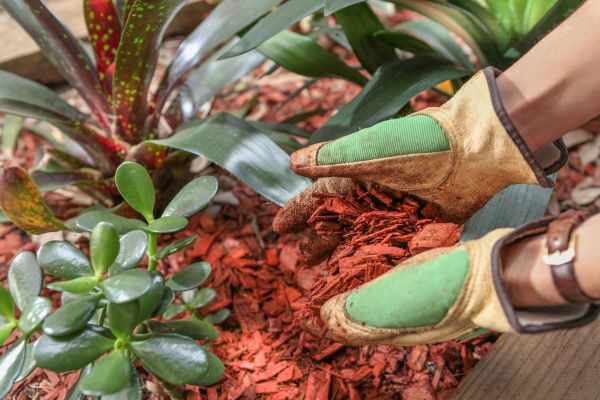 Residential Mulching in Owasso