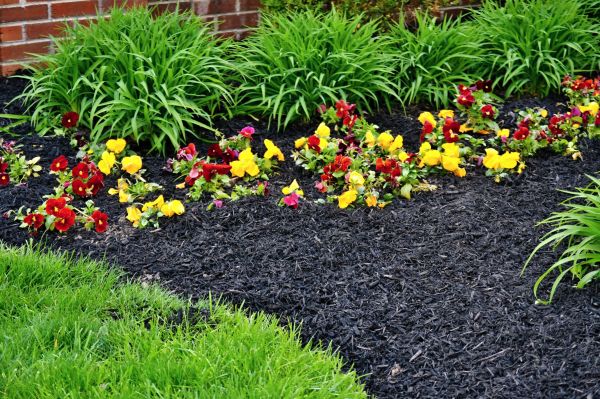 Apartment Mulching in Owasso