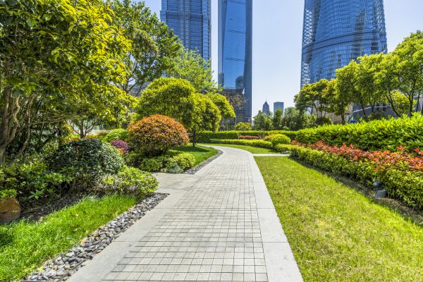 Commercial Landscaping in Owasso