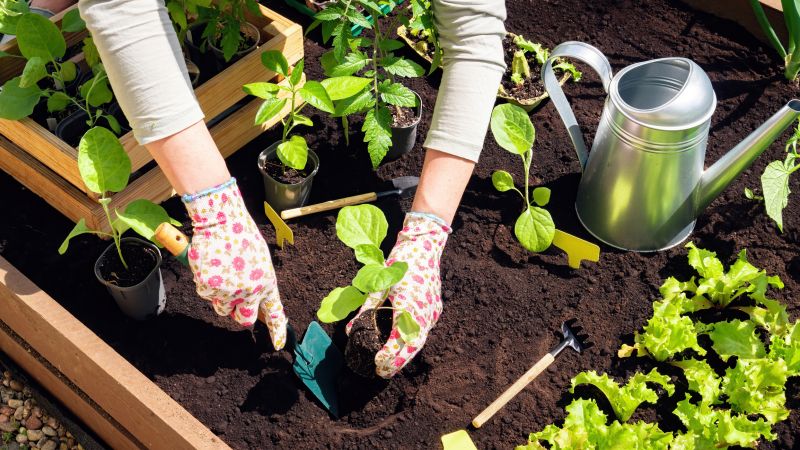 Monthly Garden Maintenance
